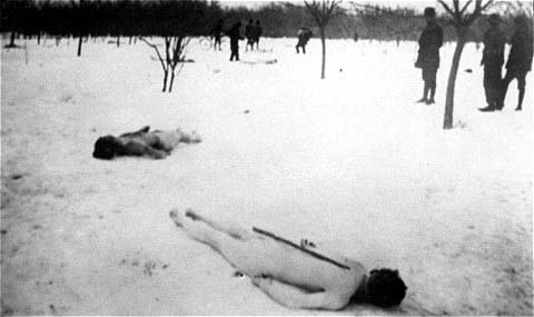 Rebeliunea legionară și Pogromul de la București (21-23 ianuarie 1941) - Cadavre de evrei în pădurea Jilava - foto preluat de pe ro.wikipedia.org