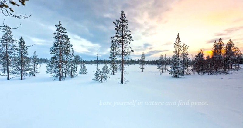 Beautiful-moments-from-nature-animals-sports-and-more