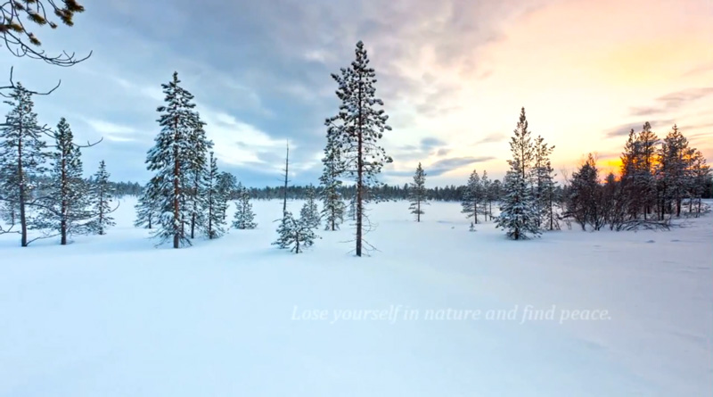 Beautiful-moments-from-nature-animals-sports-and-more