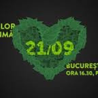 descărcare