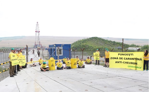 foto Greenpeace-Pungesti2
