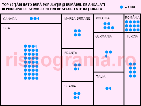 servicii-de-informatii-460x345