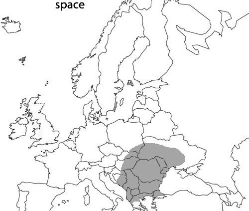 Spatiul-etnogenetic-romanesc