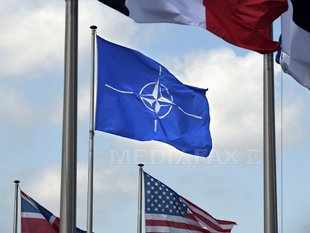 steag-nato-afp