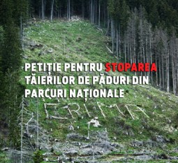 Stop tăierilor de pădure din parcuri naționale