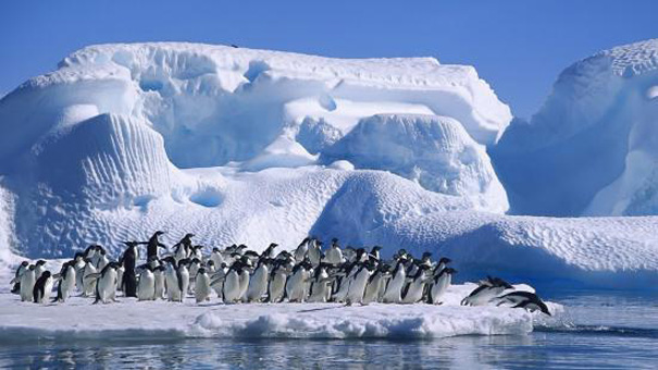 antarctica