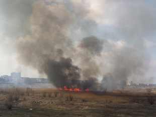 incendiu-delta-vacaresti-abel-ghita