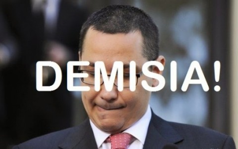 ponta-demisia