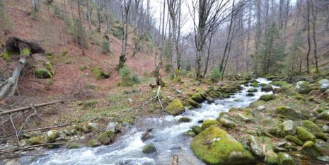Râului Alb din Parcul Dinozaurilor - foto preluat de pe romaniacurata.ro