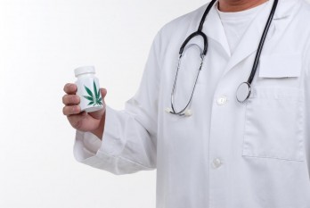 Cânepa - plantă medicinală - foto - curiosidades.batanga.com