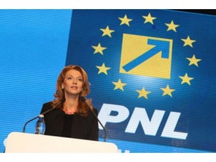 Alina-Ștefania Gorghiu (n. 16 septembrie 1978, Tecuci), este un avocat și om politic român, copreședinte al Partidului Național Liberal. Până în anul 2004 a îndeplinit funcția de consilier local pentru București, sector 5. La alegerile legislative din 2008 a obținut un loc de parlamentar în Camera Deputaților în colegiul 22 din București. La alegerile din 9 decembrie 2012 a obținut un nou mandat în Parlament, fiind reprezentant al colegiului uninominal 22, București. La 18 decembrie 2014 a fost aleasă președinte al Partidului Național Liberal