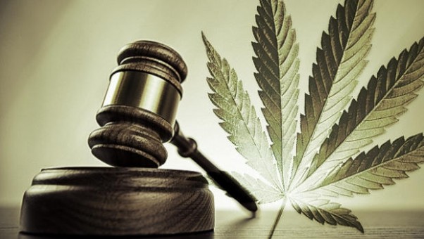 legalizare canabis