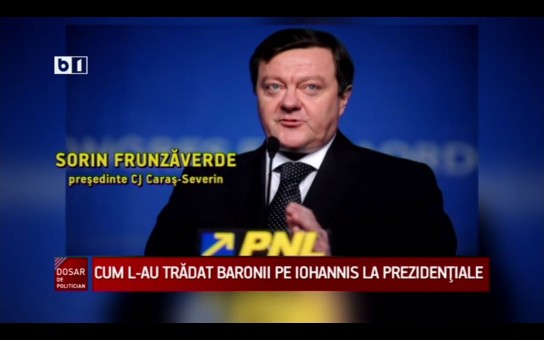 sorin frunzaverde