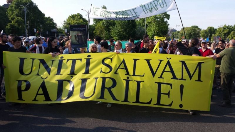 Împotriva despăduririlor abuzive 2 - foto preluat de pe facebook.com