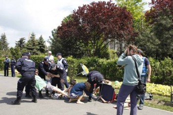 Comunicat - Cu șezlongu’ la Guvern de 1 Mai - foto - militiaspirituala.ro