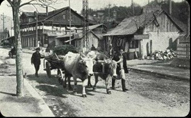 Comarnic, județul Prahova - foto: miscarea.net