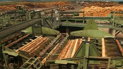 Holzindustrie Schweighofer - foto - riseproject.ro