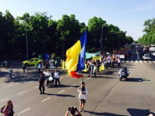 Protest impotriva defrisarilor - foto preluat de pe romaniacurata.ro