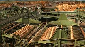 Holzindustrie Schweighofer  - foto riseproject.ro