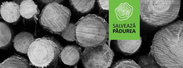 header-campanie-paduri