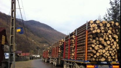 Codul silvic - foto - romaniatv.net