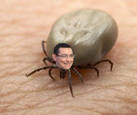 capusa-ponta