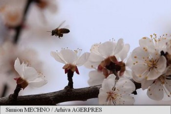 imageResize (2)