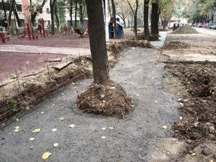Copac betonat pe strada Intrarea Reconstrucţiei din sectorul 3, Bucureşti (Prietenii Parcului IOR, Facebook)