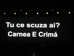 Concert Morrissey la Bucuresti - foto: facebook.com