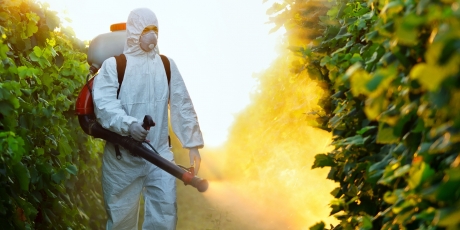 foto: avaaz.org