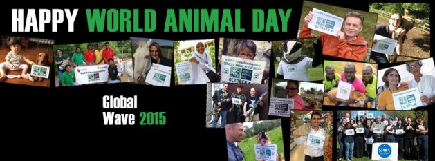 foto: facebook.com/WorldAnimalDayInternational