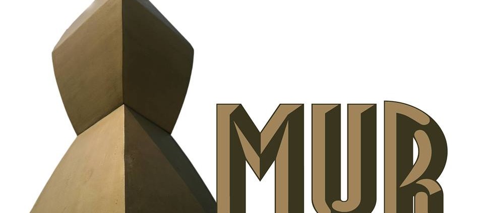 Mişcarea Uniţi Realizăm - MUR - foto preluat de pe facebook.com