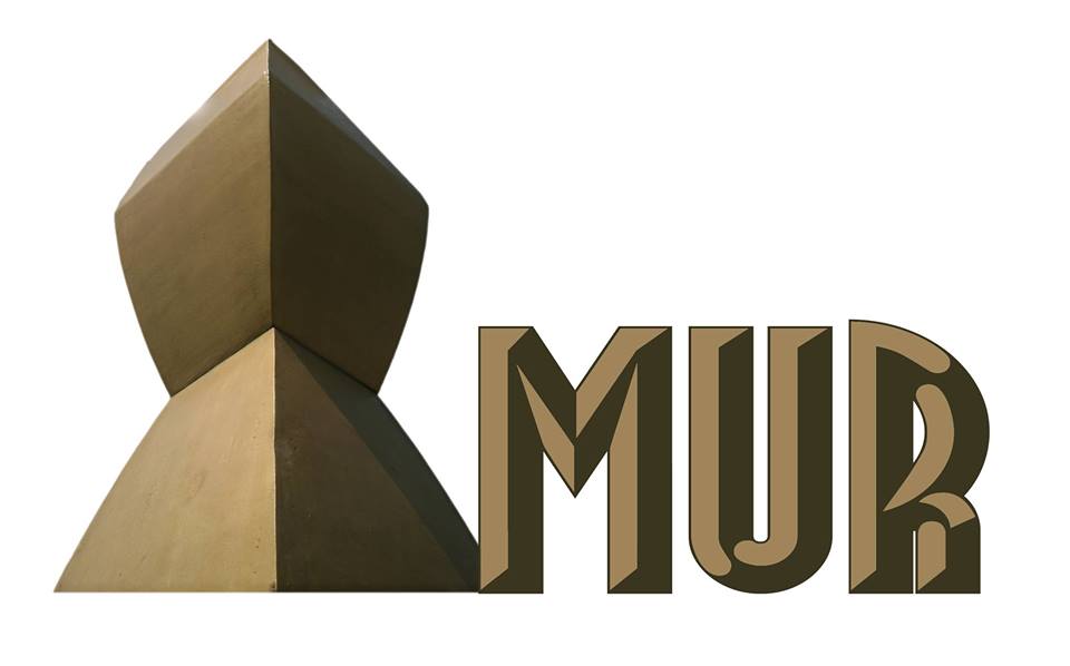 Mişcarea Uniţi Realizăm - MUR - foto preluat de pe facebook.com
