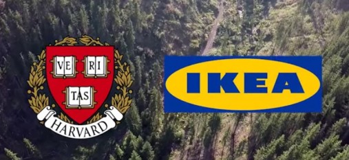 Harvard și Ikea, afaceri cu păduri traficate - foto: riseproject.ro