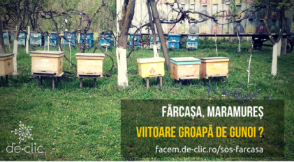 Petiție: Maramureșul nu e groapă de gunoi! - foto: de-clic.ro