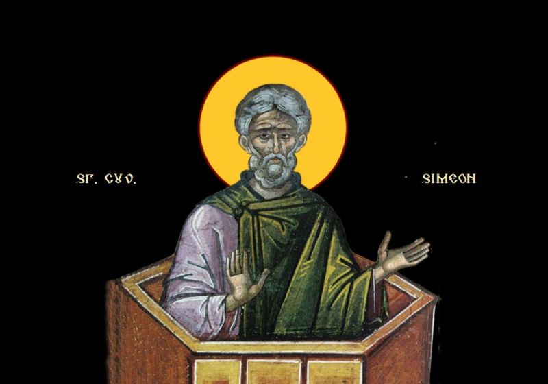 Sfântul Cuvios Simeon cel din Muntele Minunat - foto preluat de pe ziarullumina.ro