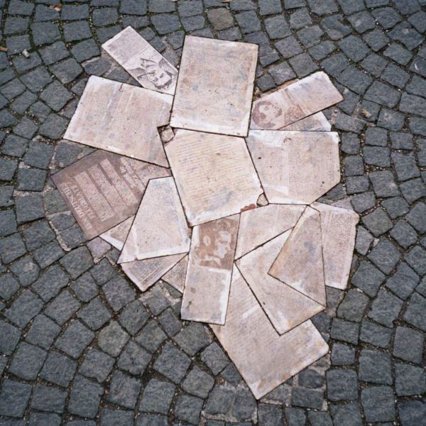 O fotografie color realizată de sus, în plan apropiat, din fișierul „Geschwister-Scholl-Platz - Weiße-Rose-Mahnmal 10.jpg”, surprinzând un detaliu al monumentului încastrat direct în pavaj. În cadru se observă o replică din piatră de culoare gri-crem a unei pagini scrise la mașină (un manifest al grupului Trandafirul Alb), montată la același nivel cu blocurile din granit cenușiu și roșiatic ale trotuarului. Pe foaia de piatră se disting linii de text sculptat care simulează formatul broșurilor clandestine. Peste o porțiune din textul pietrei este așezat un trandafir natural, alb, cu tulpina lungă și frunze verzi, aflat într-o stare ușoară de ofilire, plasat acolo ca omagiu. Lumina zilei este naturală și uniformă, scoțând în evidență textura aspră a pietrei de pavaj și contrastul simbolic dintre trandafirul alb real și foaia memorială din pavaj.
