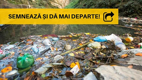 Să oprim potopul de plastic! - foto: de-clic.ro
