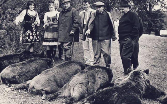 Ceausescu la "Vanatoare Bistrita Septembrie 1972" - foto: „Fototeca online a comunismului românesc”