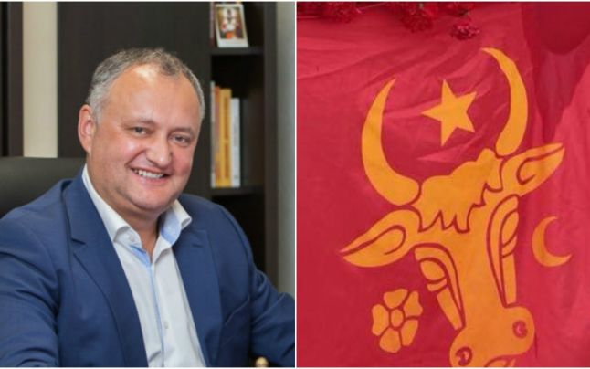 gor Dodon şi simbolul nostru românesc: capul de bour, privit frontal, simbolizând puterea - foto preluat de pe adevarul.ro