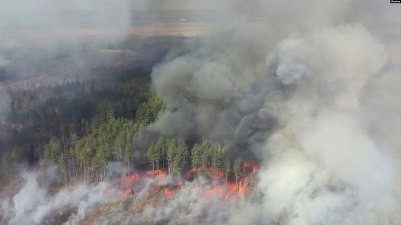 Incendiile din pădurea din zona de excluziune de lângă Cernobîl (13 aprilie 2020) - foto preluat de pe romania.europalibera.org