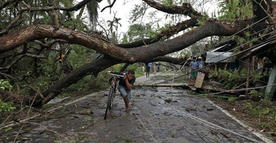 A man walks with his bicycle under an uprooted tree after Cyclone Amphan made its landfall, in South 24 Parganas district, in the eastern state of West Bengal, India, May 21, 2020. REUTERS/Rupak De Chowdhuri - foto preluat de pe www.reuters.com