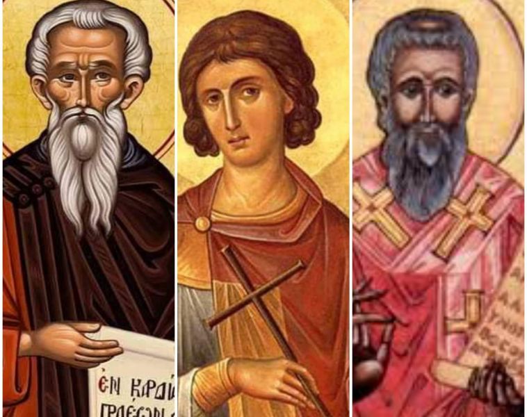 Sf. Cuv. Pimen cel Mare; Sf. Mc. Fanurie; Sf. Ier. Osie, episcopul Cordobei