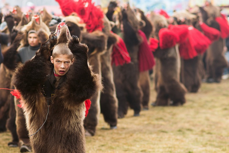 Jocul urșilor de la Comănești (Alecsandra Raluca Drăgoi - 2013 - primul loc la "National Geographic Traveller" 2015) - foto preluat de pe www.digi24.ro