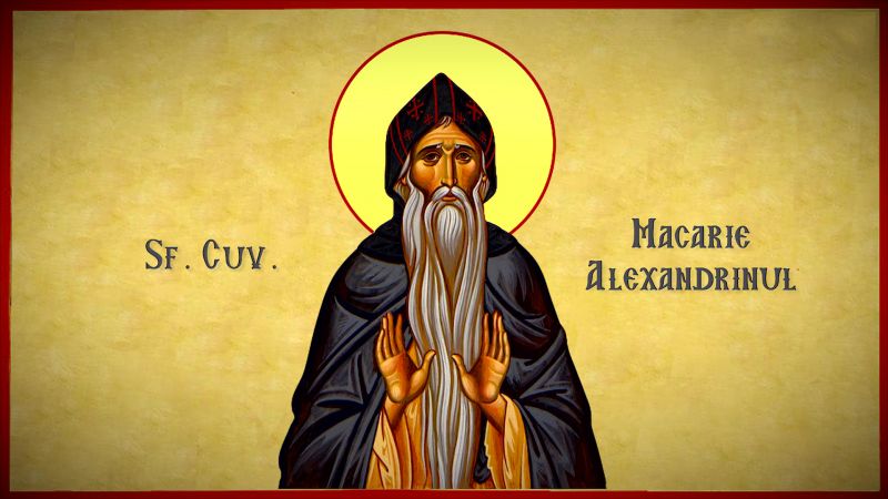 Sfântul Cuvios Macarie Alexandrinul († 395) - foto preluat de pe doxologia.ro